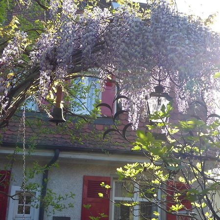 Pension Zur Rose Weil am Rhein Exterior foto