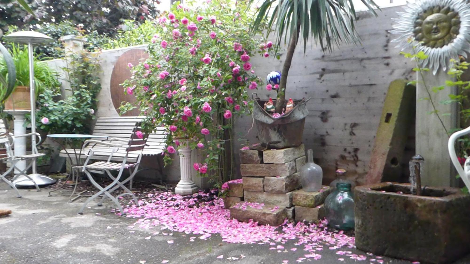 Pension Zur Rose Weil am Rhein Exterior foto