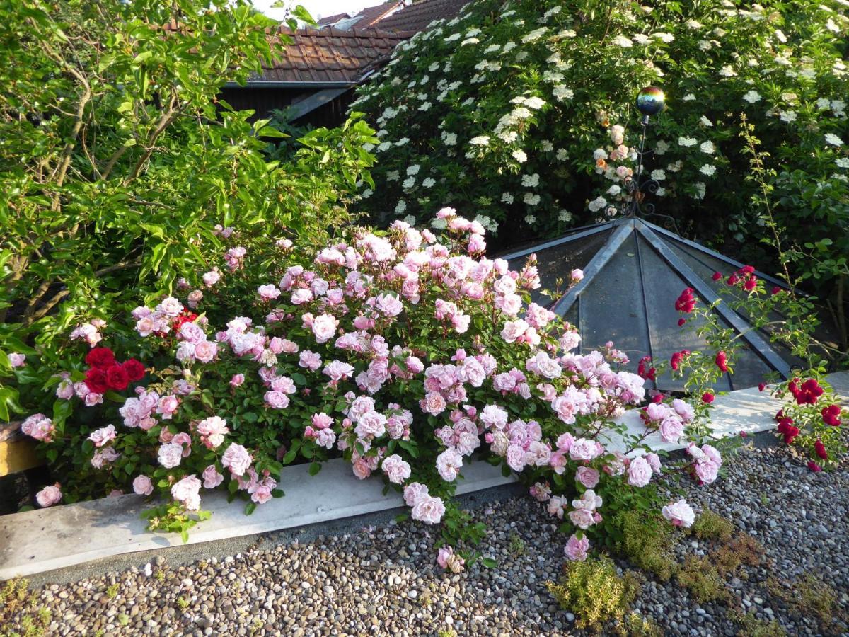 Pension Zur Rose Weil am Rhein Exterior foto